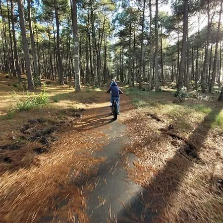 Кемпинг Des Dunes De Contis Mobilhome 3ch, *